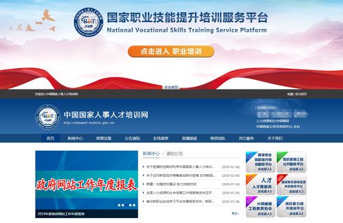 工程总承包项目管理师在软件信息咨询服务中的关键角色