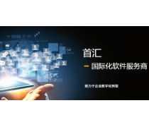 软件信息咨询服务 数字化时代的导航灯塔