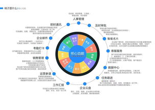 厦门哨子 实力可靠的办公软件与信息咨询服务之选